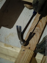 photo of hammer wood & nails